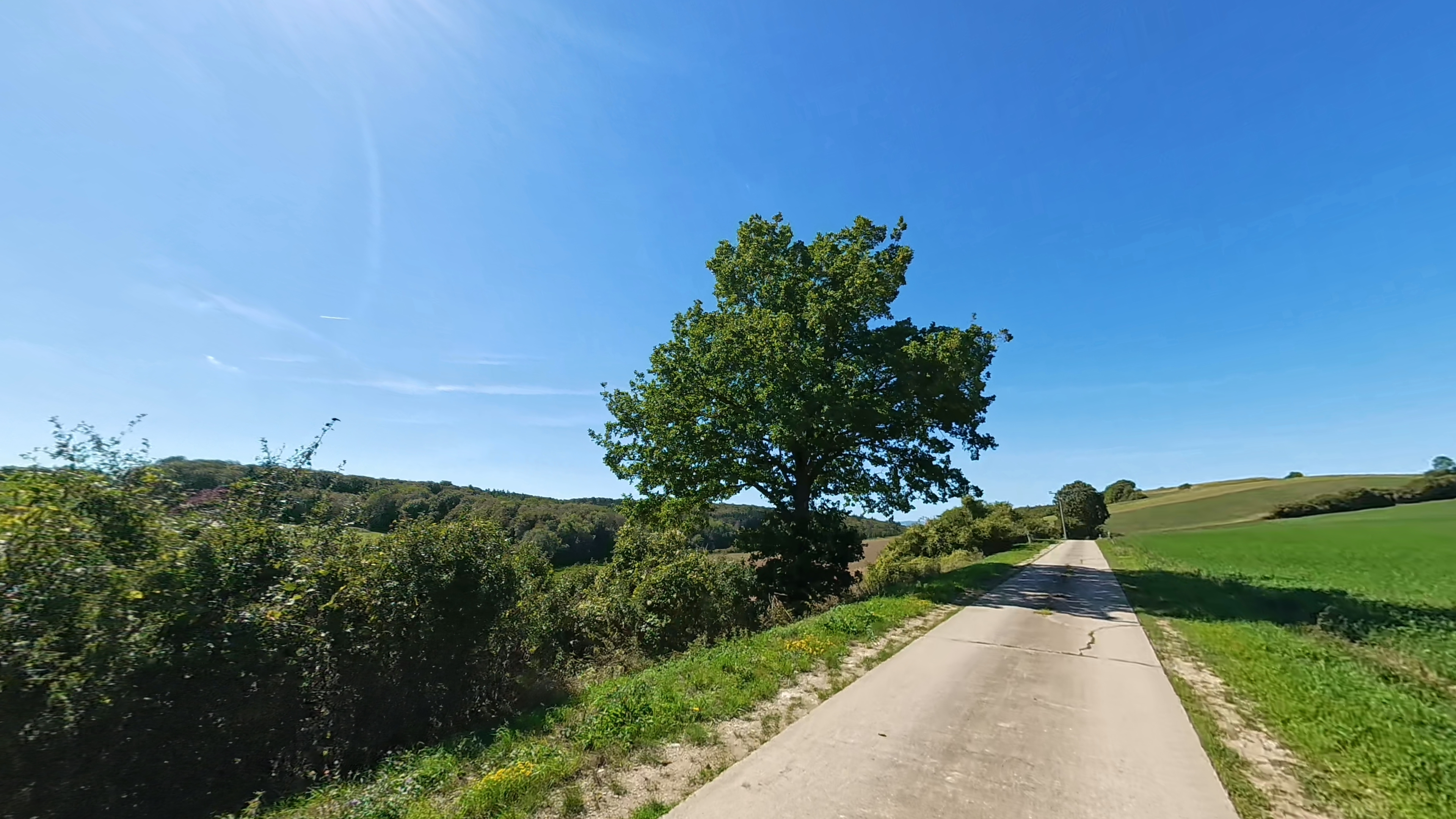 29-auf dem Weg nach Megesheim